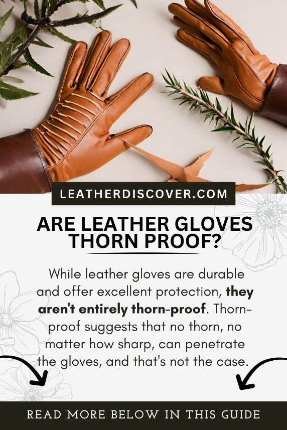 are leather gloves thorn proof - an infographic