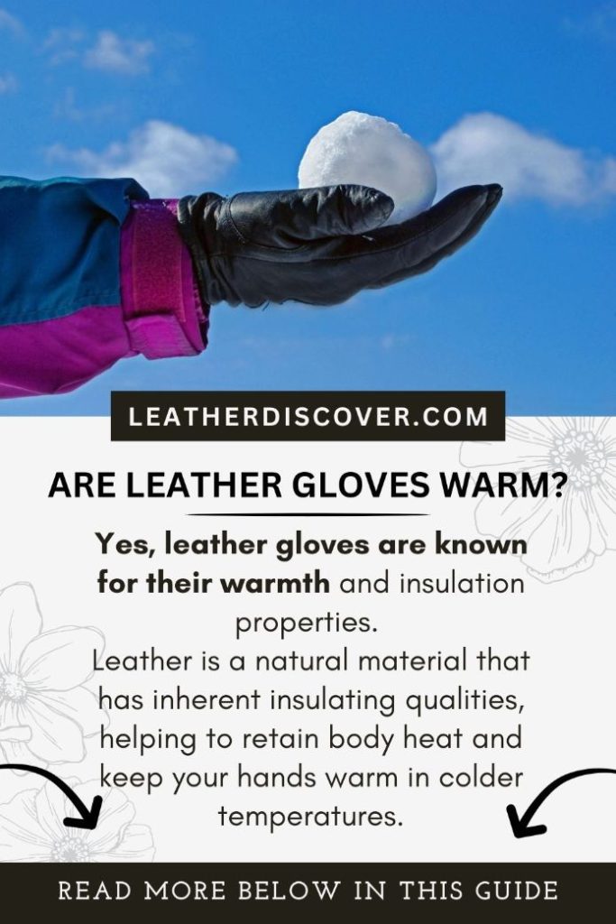 Are leather gloves warm - an infographic 