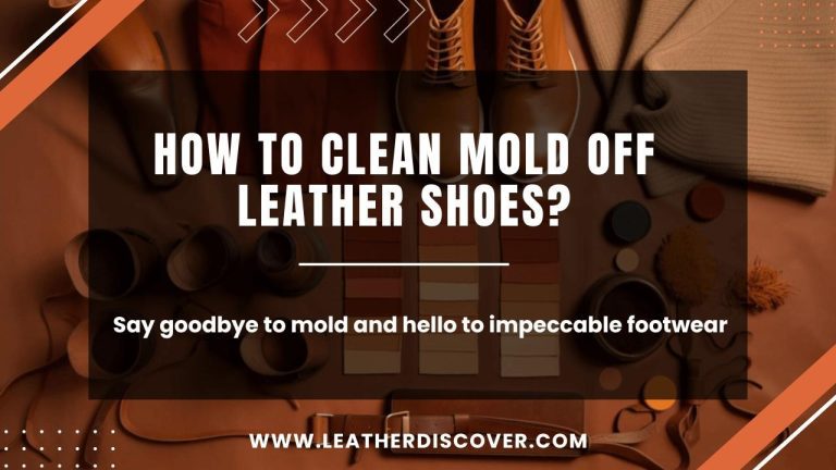 How to Clean Mold off Leather Shoes? an Infographic