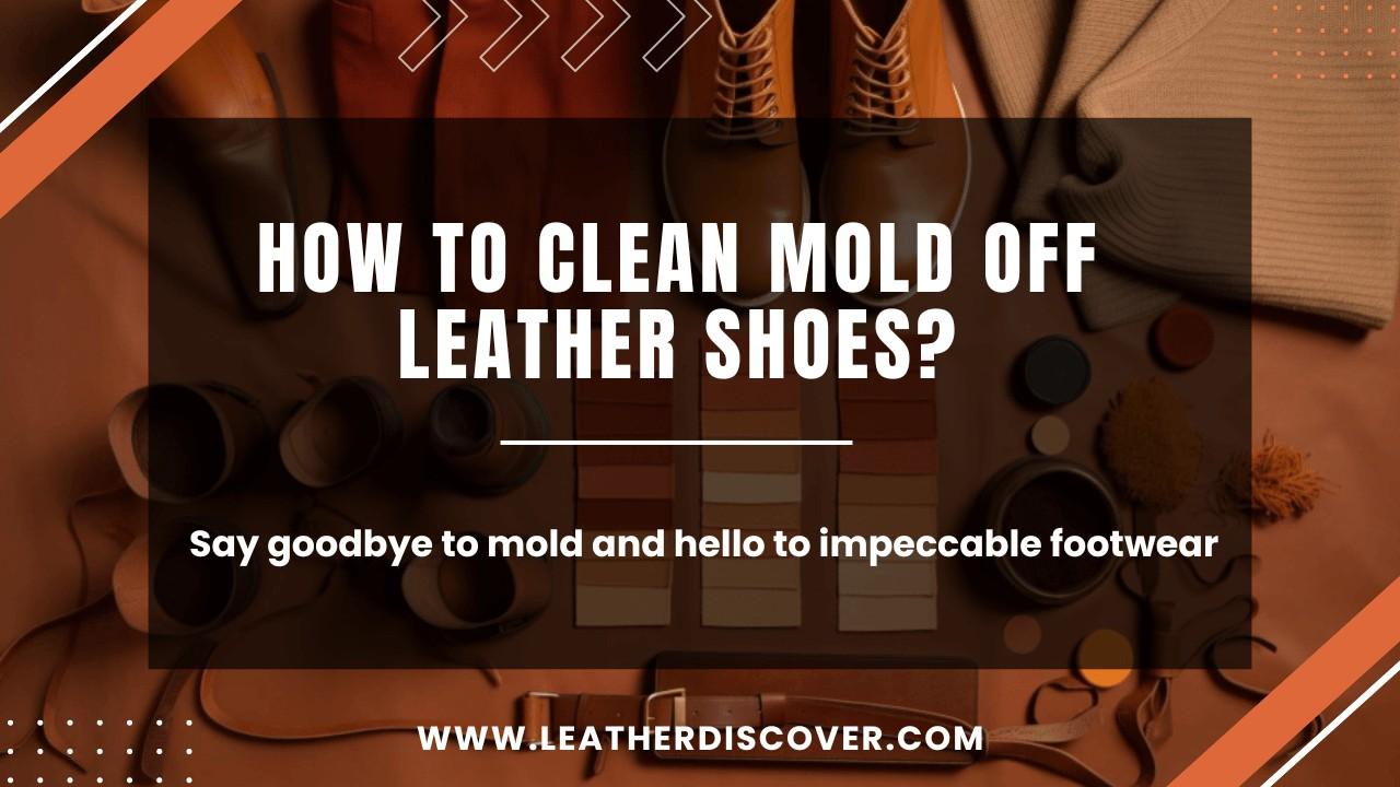 How to Clean Mold off Leather Shoes? an Infographic