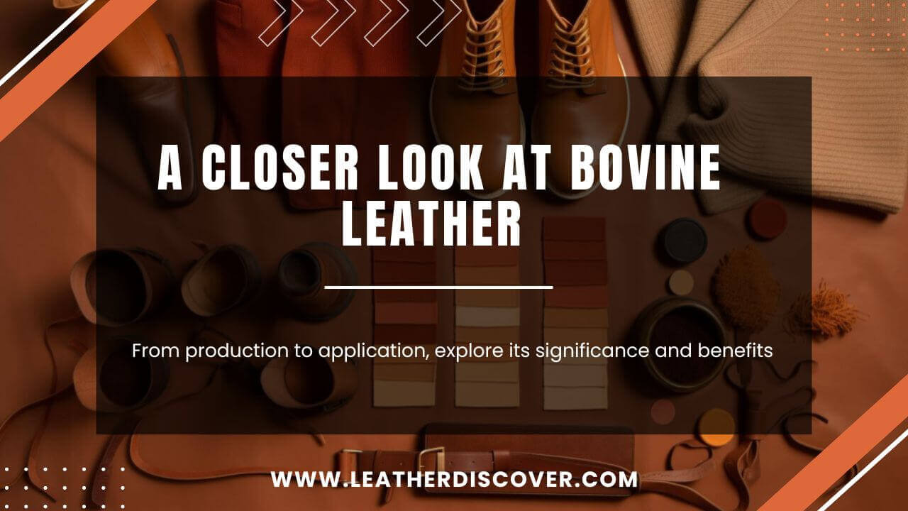 What Is Bovine Leather? an Infographic