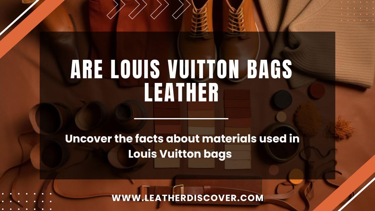 Are Louis Vuitton Bags Leather? an Infographic