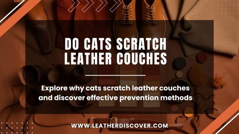 Do Cats Scratch Leather Couches? an Infographic