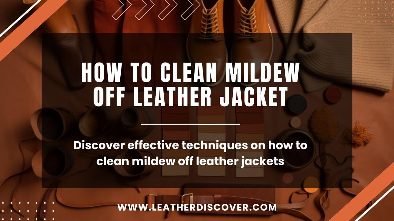 How to Clean Mildew off Leather Jacket? an Infographic