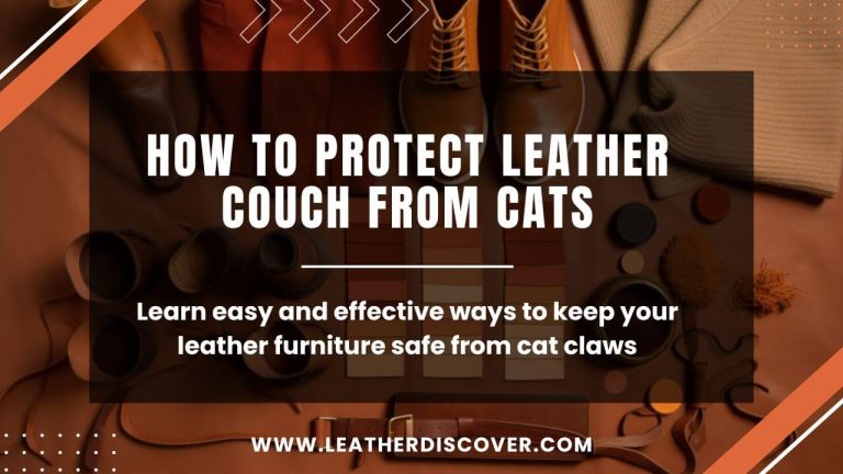 How to Protect Leather Couch From Cats? an Infographic