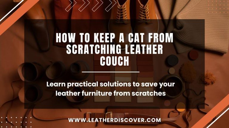 How to Keep a Cat From Scratching Leather Couch? an Infographic