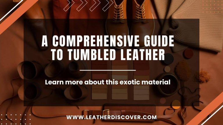 What Is Caiman Leather? an Infographic