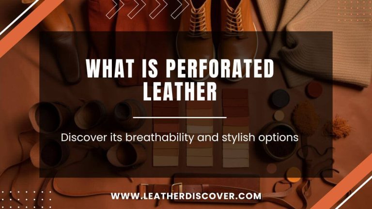 What Is Perforated Leather? an Infographic